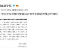 武汉学校爆料视频大全集,揭秘校园内幕与真实故事