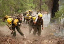 云南爆料野外消防事件最新,紧急救援与生态守护的较量