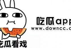 各种网红吃瓜黑料是什么,吃瓜黑料背后的真相与反思