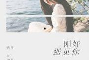 娱乐圈小说爆料推文一口气看完,一场惊心动魄的娱乐圈风云录