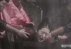 酷刑视频在线观看,在线观看视频背后的真相与警示