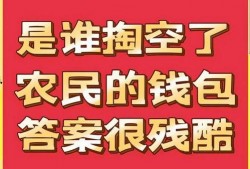爆料新闻开心时刻图片大全,揭秘开心时刻图片大全背后的欢乐故事