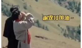 娱乐圈爆料姐弟恋情小说,揭秘明星姐弟恋的甜蜜与争议