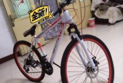 安阳自行车爆料视频最新,揭秘城市交通新现象